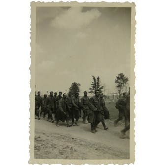 Sowjetische Kriegsgefangene im Sumpfgebiet. Espenlaub militaria
